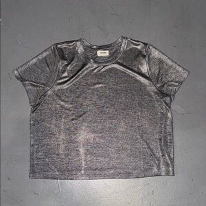 Porridge Shimmering Gray Short Sleeve Top